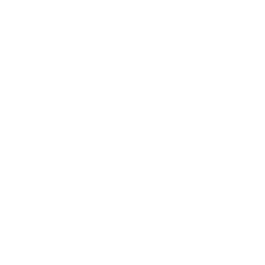 Kokoro & Moi